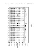 Methods for Producing Active scFv Antibodies and Libraries Therefor diagram and image