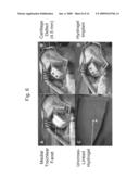 Hydroxyphenyl cross-linked macromolecular network and applications thereof diagram and image