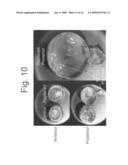 Hydroxyphenyl cross-linked macromolecular network and applications thereof diagram and image