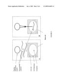 Compositions and Methods Comprising Stinging Capsules/Cells For Delivering a Biologically Active Agent Into a Plant Cell diagram and image