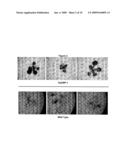 GTP Binding Stress-Related Proteins and Methods of Use in Plants diagram and image