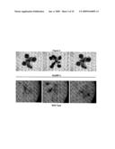 GTP Binding Stress-Related Proteins and Methods of Use in Plants diagram and image