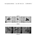 GTP Binding Stress-Related Proteins and Methods of Use in Plants diagram and image