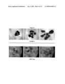 GTP Binding Stress-Related Proteins and Methods of Use in Plants diagram and image