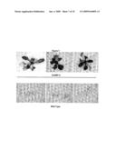 GTP Binding Stress-Related Proteins and Methods of Use in Plants diagram and image