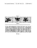 GTP Binding Stress-Related Proteins and Methods of Use in Plants diagram and image