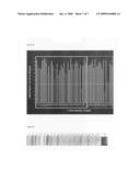 Genes involved in asymmetric cell division diagram and image