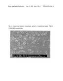 FUNCTIONALIZED, SOLID POLYMER NANOPARTICLES COMPRISING EPOTHILONES diagram and image