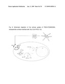 FUNCTIONALIZED, SOLID POLYMER NANOPARTICLES COMPRISING EPOTHILONES diagram and image