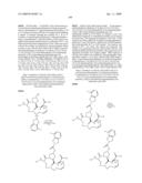 Novel Macrocyclic Inhibitors of Hepatitis C Virus Replication diagram and image