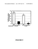 LACTOBACILLI EXPRESSING BIOLOGICALLY ACTIVE POLYPEPTIDES AND USES THEREOF diagram and image