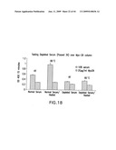 ANTIBODY TO GDF8 AND USES THEREOF diagram and image