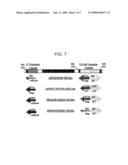 ADENOVIRAL VECTOR-BASED MALARIA VACCINES diagram and image