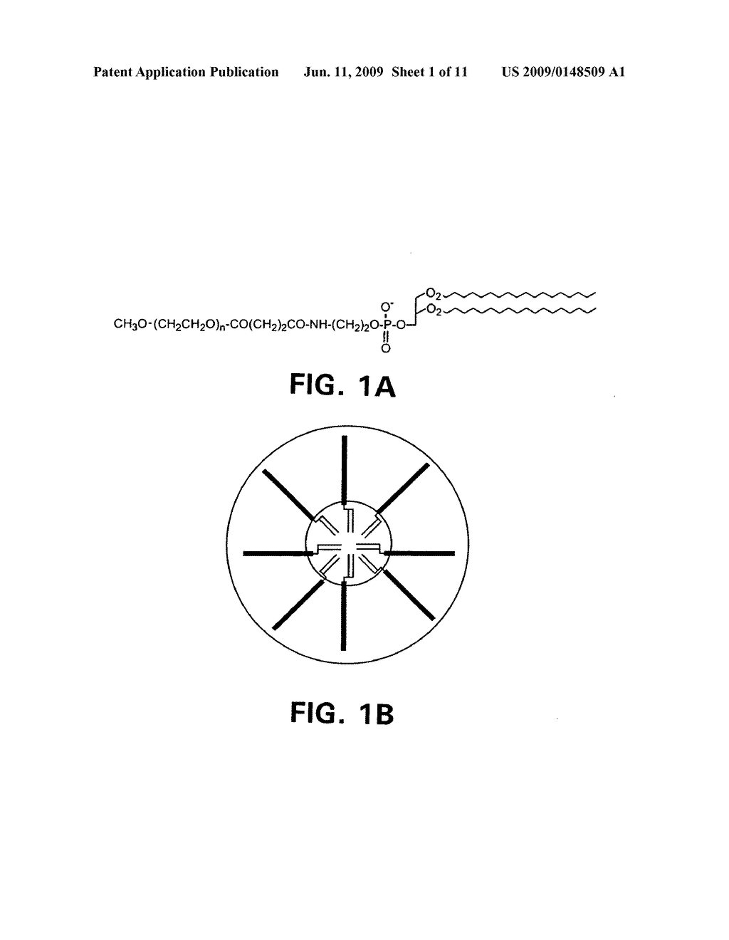 ENCAPSULATION AND DEAGGREGATION OF POLYENE ANTIBIOTICS USING POLY(ETHYLENE GLYCOL)-PHOSPHOLIPID MICELLES - diagram, schematic, and image 02