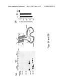 GPCR crystalization method using an antibody diagram and image