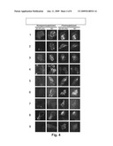 GPCR crystalization method using an antibody diagram and image