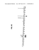 SALTS OF POTASSIUM ATP CHANNEL OPENERS AND USES THEREOF diagram and image