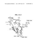 Method for Rapid Detection and Identification of Bioagents diagram and image