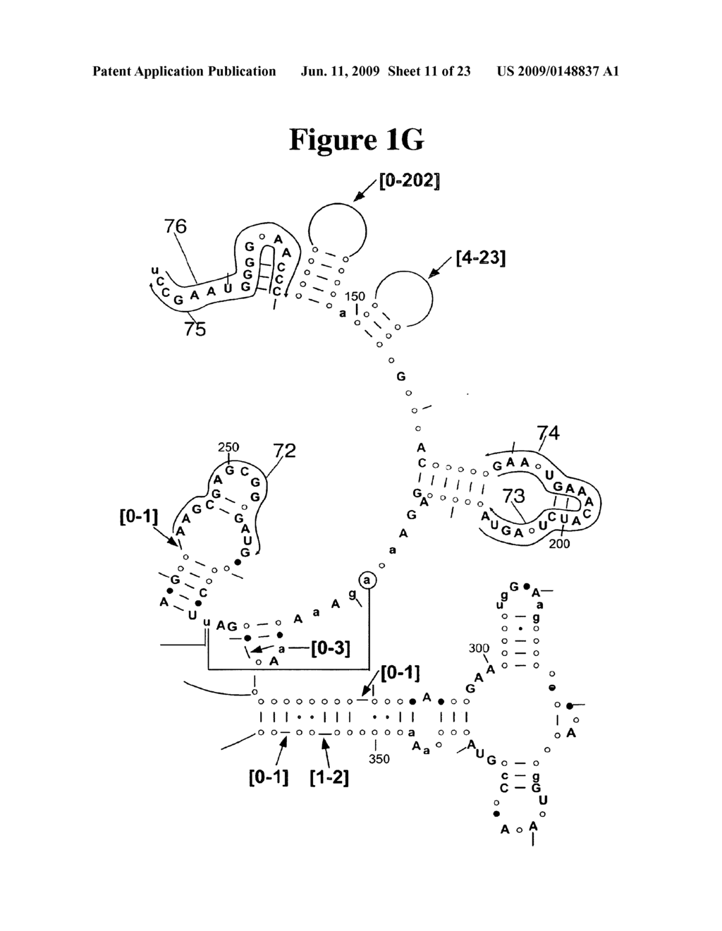 Method for Rapid Detection and Identification of Bioagents - diagram, schematic, and image 12