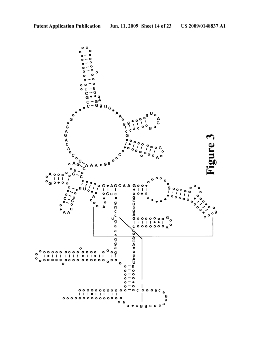 Method for Rapid Detection and Identification of Bioagents - diagram, schematic, and image 15