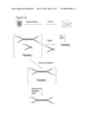 Preparation of templates for methylation analysis diagram and image