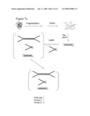 Preparation of templates for methylation analysis diagram and image
