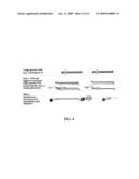 ONE-STEP TARGET DETECTION ASSAY diagram and image