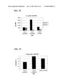 ONE-STEP TARGET DETECTION ASSAY diagram and image