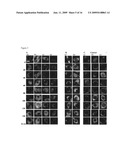 Nanoparticle biosensors diagram and image