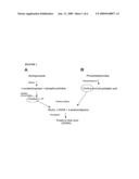 ENZYMATIC METHODS FOR MEASURING PLASMA AND TISSUE SPHINGOMYLELIN AND PHOSPHATIDYLCHOLINE diagram and image