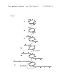 Method for Gene Amplification diagram and image