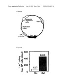 Method for Gene Amplification diagram and image