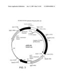 OPTIMIZED MESSENGER RNA diagram and image