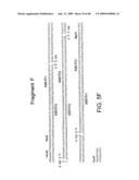 OPTIMIZED MESSENGER RNA diagram and image