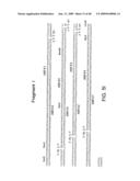 OPTIMIZED MESSENGER RNA diagram and image