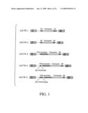 Indexed library of cells containing genomic modifications and methods of making and utilizing the same diagram and image