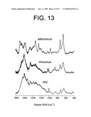 SURFACE ENHANCED RAMAN SPECTROSCOPY (SERS) SYSTEMS AND METHODS OF USE THEREOF diagram and image