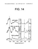 SURFACE ENHANCED RAMAN SPECTROSCOPY (SERS) SYSTEMS AND METHODS OF USE THEREOF diagram and image