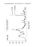 SURFACE ENHANCED RAMAN SPECTROSCOPY (SERS) SYSTEMS AND METHODS OF USE THEREOF diagram and image