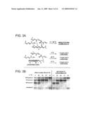 Ordered Multi-Step Synthesis by Nucleic Acid-Mediated Chemistry diagram and image