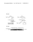 Ordered Multi-Step Synthesis by Nucleic Acid-Mediated Chemistry diagram and image