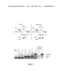 Ordered Multi-Step Synthesis by Nucleic Acid-Mediated Chemistry diagram and image