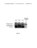 Ordered Multi-Step Synthesis by Nucleic Acid-Mediated Chemistry diagram and image