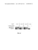 Ordered Multi-Step Synthesis by Nucleic Acid-Mediated Chemistry diagram and image