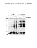 OXIDANT RESISTANT APOLIPOPROTEIN A-1 AND MIMETIC PEPTIDES diagram and image