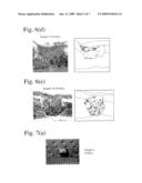 POROUS BODY COMPRISING APATITE/COLLAGEN COMPOSITE FIBERS AND ITS PRODUCTION METHOD diagram and image