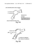 Aptamers to von Willebrand factor and their use as thrombotic disease therapeutics diagram and image