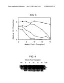 Animal Model Having a Chimeric Human Liver and Susceptible to Human Hepatitis C Virus Infection diagram and image