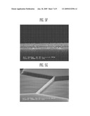 SEMICONDUCTOR FET SENSOR AND METHOD OF FABRICATING THE SAME diagram and image