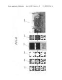 Method and system for 2D image transformation with various artistic effects diagram and image